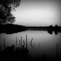 /album/toe62act/photolia-b01-jpg/